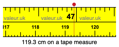 119.3 cm on a tape measure 119.3 centimeters on a tape measure