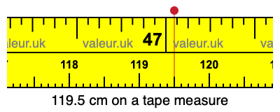 119.5 cm on a tape measure 119.5 centimeters on a tape measure