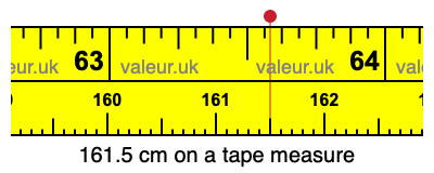 161.5 centimeters on a tape measure