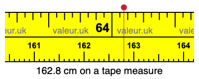 162.8 cm on a tape measure 162.8 centimeters on a tape measure