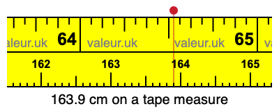 163.9 cm on a tape measure 163.9 centimeters on a tape measure
