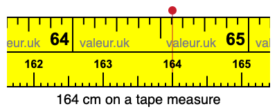 164 cm on a tape measure 164 centimeters on a tape measure