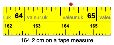 164.2 cm on a tape measure 164.2 centimeters on a tape measure