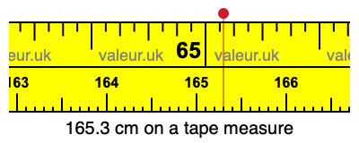 165.3 cm on a tape measure 165.3 centimeters on a tape measure