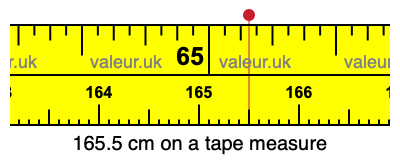 165.5 cm on a tape measure 165.5 centimeters on a tape measure