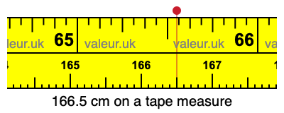 166.5 cm on a tape measure 166.5 centimeters on a tape measure