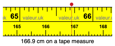 166.9 cm on a tape measure 166.9 centimeters on a tape measure