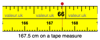 167.5 cm on a tape measure 167.5 centimeters on a tape measure