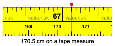 170.5 cm on a tape measure 170.5 centimeters on a tape measure
