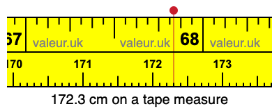 172.3 cm on a tape measure 172.3 centimeters on a tape measure