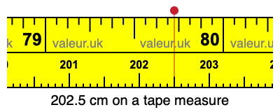 202.5 cm on a tape measure 202.5 centimeters on a tape measure