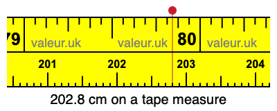202.8 cm on a tape measure 202.8 centimeters on a tape measure