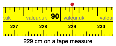 229 centimeters on a tape measure