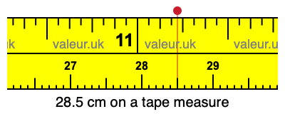 28.5 cm on a tape measure 28.5 centimeters on a tape measure