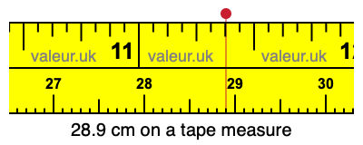 28.9 cm on a tape measure 28.9 centimeters on a tape measure