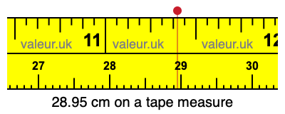 28.95 cm on a tape measure 28.95 centimeters on a tape measure