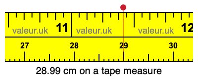 28.99 cm on a tape measure 28.99 centimeters on a tape measure