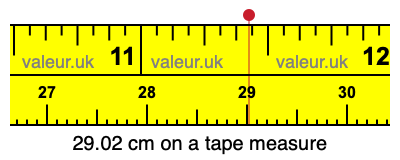 29.02 cm on a tape measure 29.02 centimeters on a tape measure
