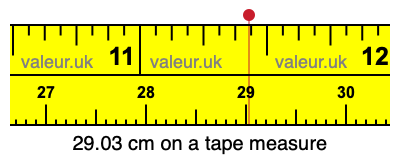 29.03 cm on a tape measure 29.03 centimeters on a tape measure