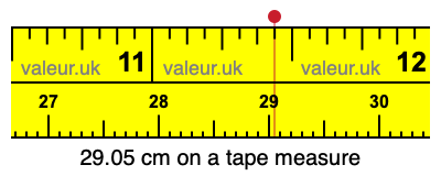 29.05 centimeters on a tape measure