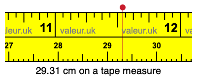 29.31 cm on a tape measure 29.31 centimeters on a tape measure