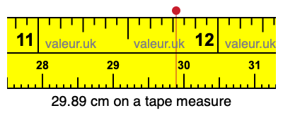 29.89 cm on a tape measure 29.89 centimeters on a tape measure