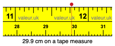 29.9 cm on a tape measure 29.9 centimeters on a tape measure