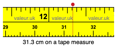 31.3 centimeters on a tape measure