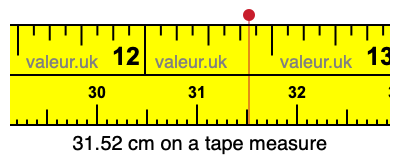 31.52 cm on a tape measure 31.52 centimeters on a tape measure
