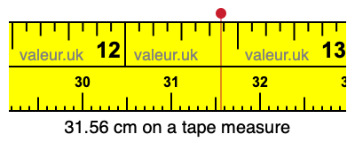 31.56 cm on a tape measure 31.56 centimeters on a tape measure