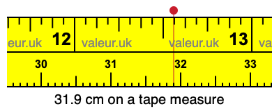 31.9 cm on a tape measure 31.9 centimeters on a tape measure