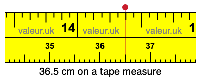 36.5 centimeters on a tape measure