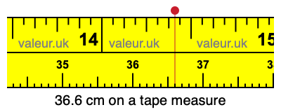 36.6 centimeters on a tape measure