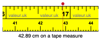 42.89 centimeters on a tape measure