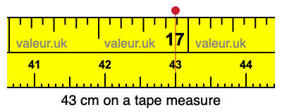 43 cm on a tape measure 43 centimeters on a tape measure