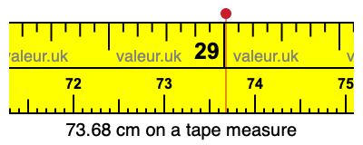 73.68 centimeters on a tape measure