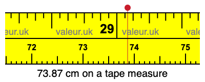 73.87 centimeters on a tape measure