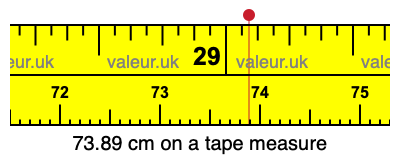 73.89 centimeters on a tape measure