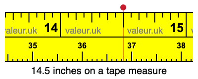 14.5 inches on a tape measure