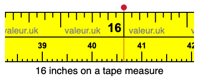 16 inches on a tape measure