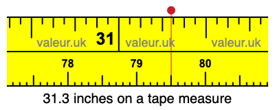 31.3 inches on a tape measure 31.3 inches on a tape measure