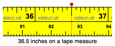36.5 inches on a tape measure 36.5 inches on a tape measure