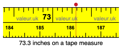 73.3 inches on a tape measure 73.3 inches on a tape measure