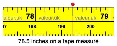 78.5 inches on a tape measure 78.5 inches on a tape measure