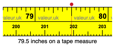 79.5 inches on a tape measure
