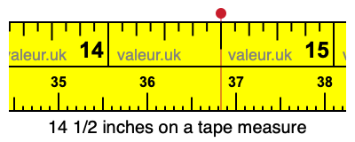14 1/2 inches on a tape measure