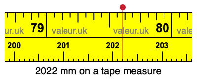2022 mm on a tape measure 2022 millimeters on a tape measure