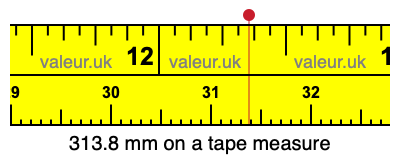 313.8 mm on a tape measure 313.8 millimeters on a tape measure