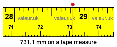 731.1 millimeters on a tape measure