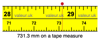 731.3 millimeters on a tape measure